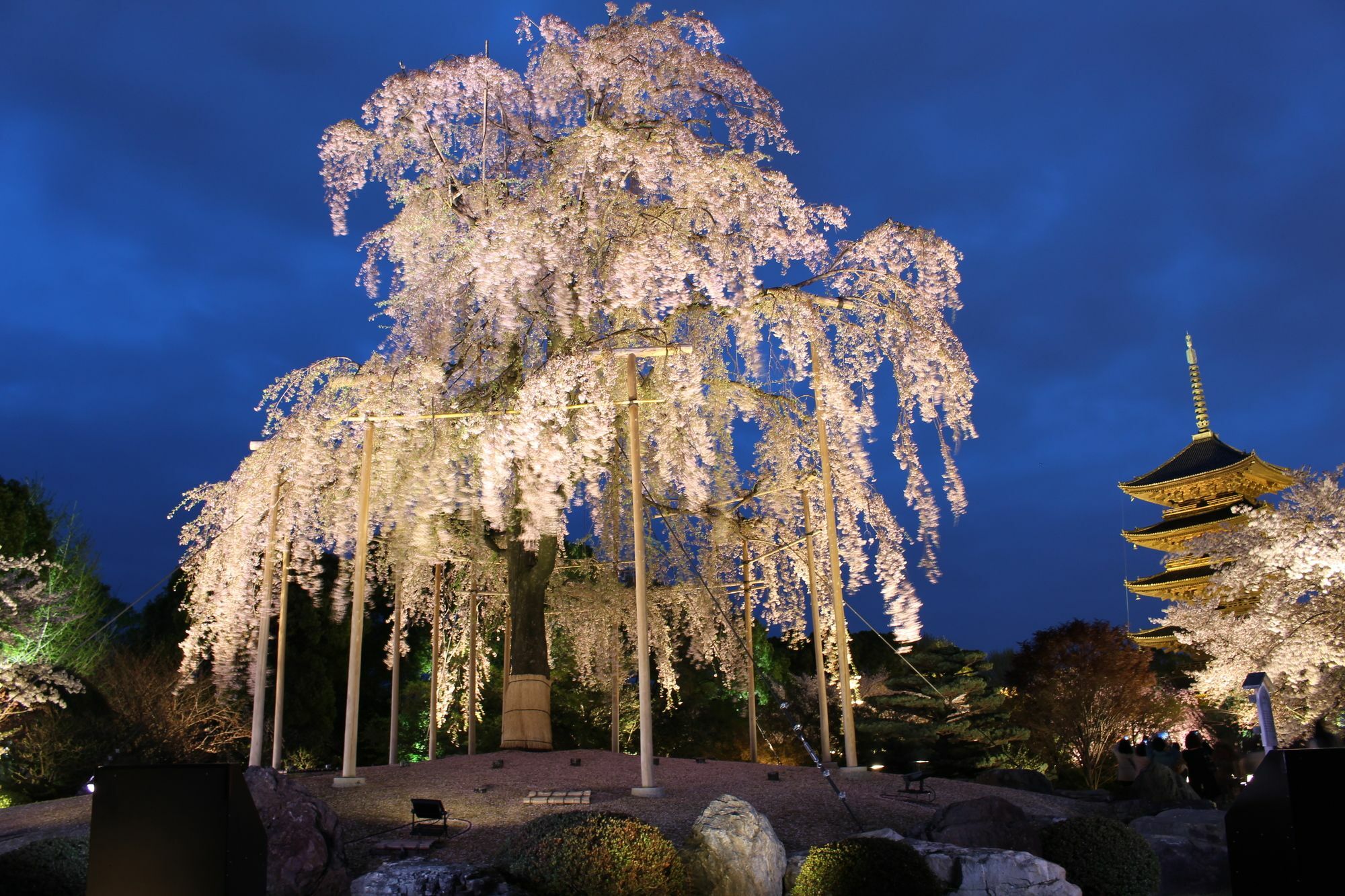 Stay Sakura Kyoto Nijo Seasons Exterior foto